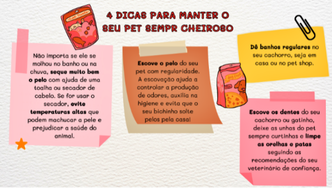 Como escolher produtos limpeza pets recomendações cuidados