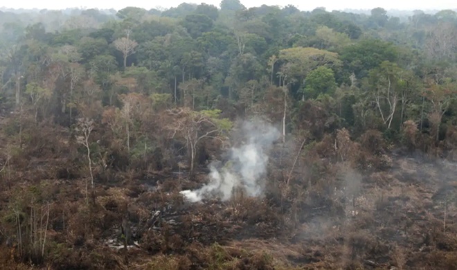 Amazônia tem milhões hectares queimados agosto