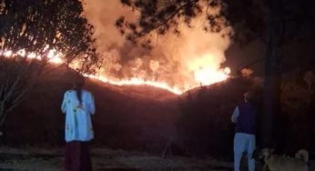 Incêndio criminoso em aldeia indígena destrói três mil mudas de reflorestamento