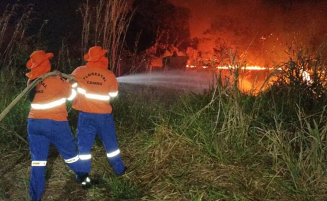 Situação emergência incêndio florestal cresceu agosto