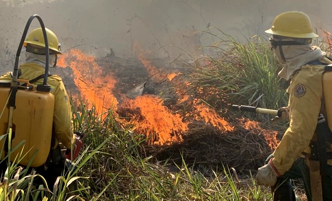 Grileiros incendeiam Terra Indígena equivalente campos futebol Pará