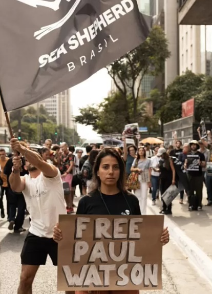 Maior protetor baleias mundo poderá ficar preso resto vida tentar salvar animais