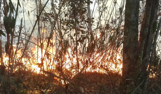 Polícia Rio realiza operações contra suspeitos causar incêndios