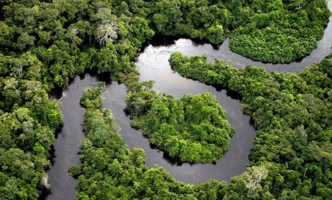 Desmatamento cai Amazônia registra primeira queda anos Cerrado Inpe